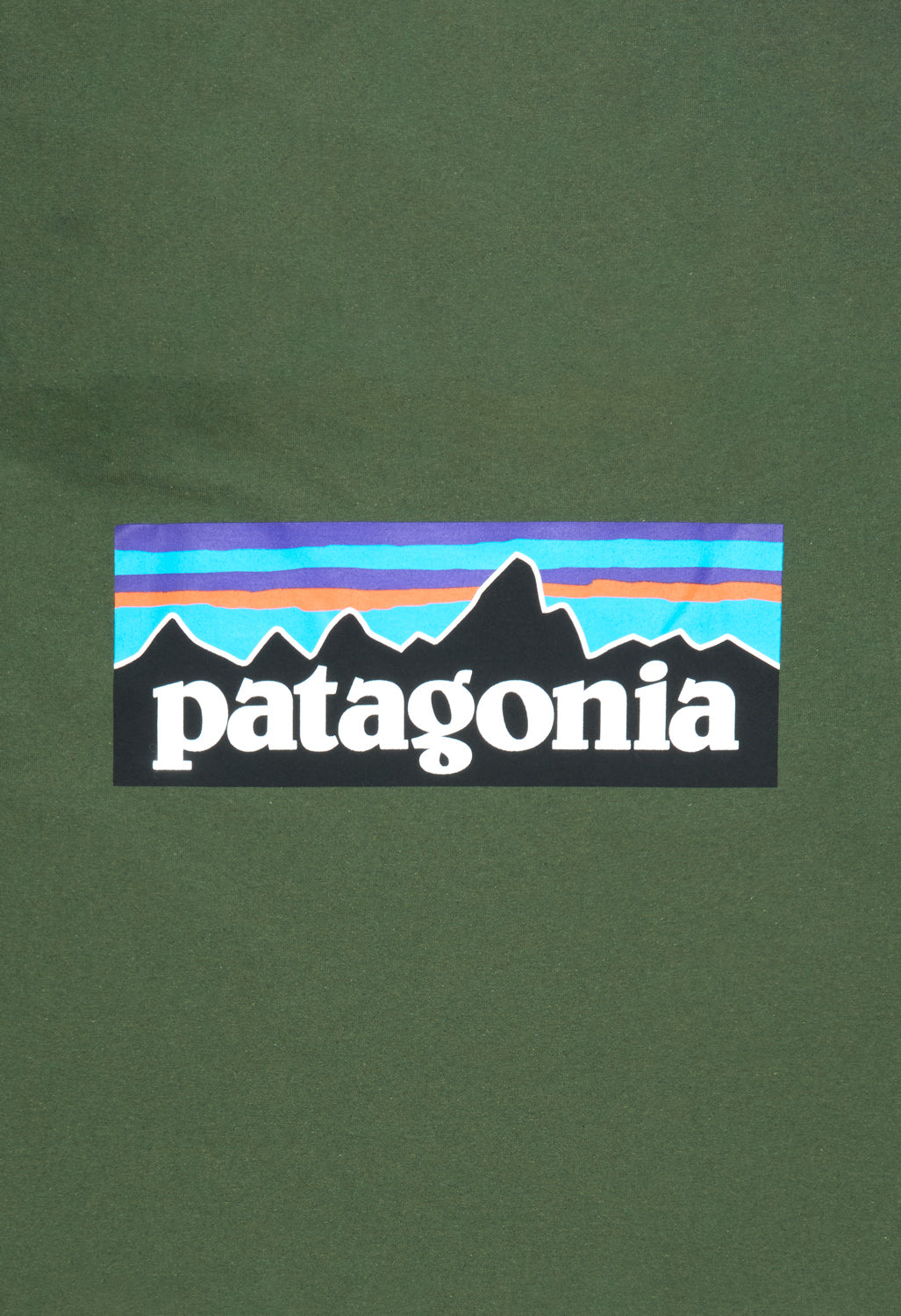 Patagonia Men's P-6 Logo Responsibili-Tee - Torrey Pine Green