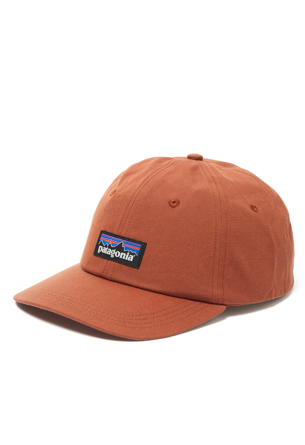 Patagonia P-6 Logo Trucker Hat - Black – Outsiders Store UK