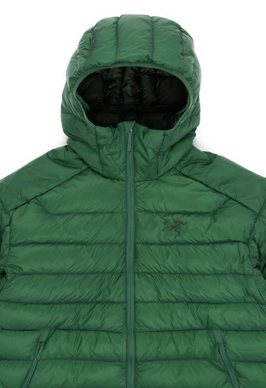 Arc'teryx Men's Cerium Hoody - Eden