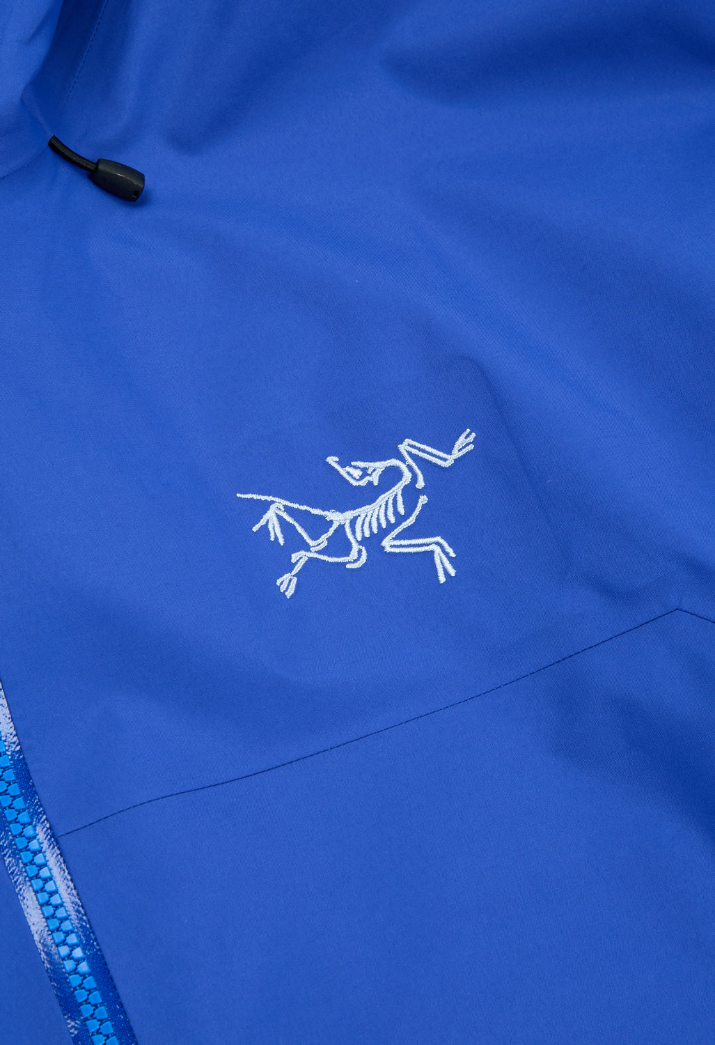 Arc'teryx Men's Beta SL Jacket - Vitality