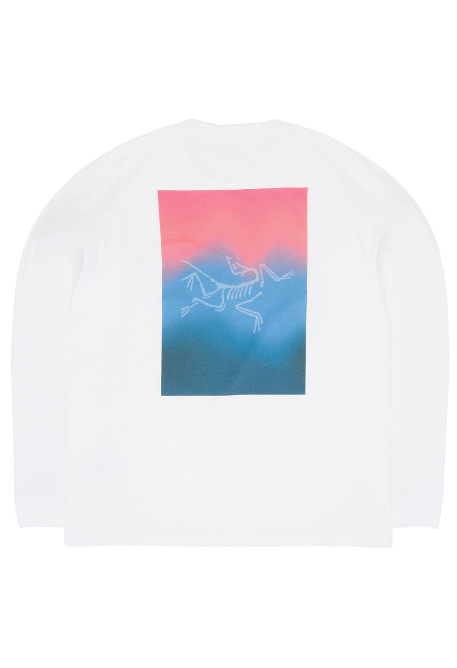 Arc'teryx Men's Kragg Cotton Heatmap Long Sleeve T Shirt - White Light / Multi