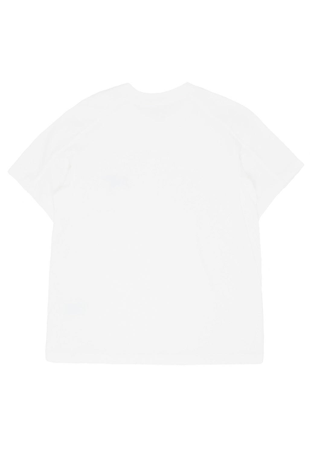 Arc'teryx Women''s Krag Little Bird T-Shirt - White Light / White