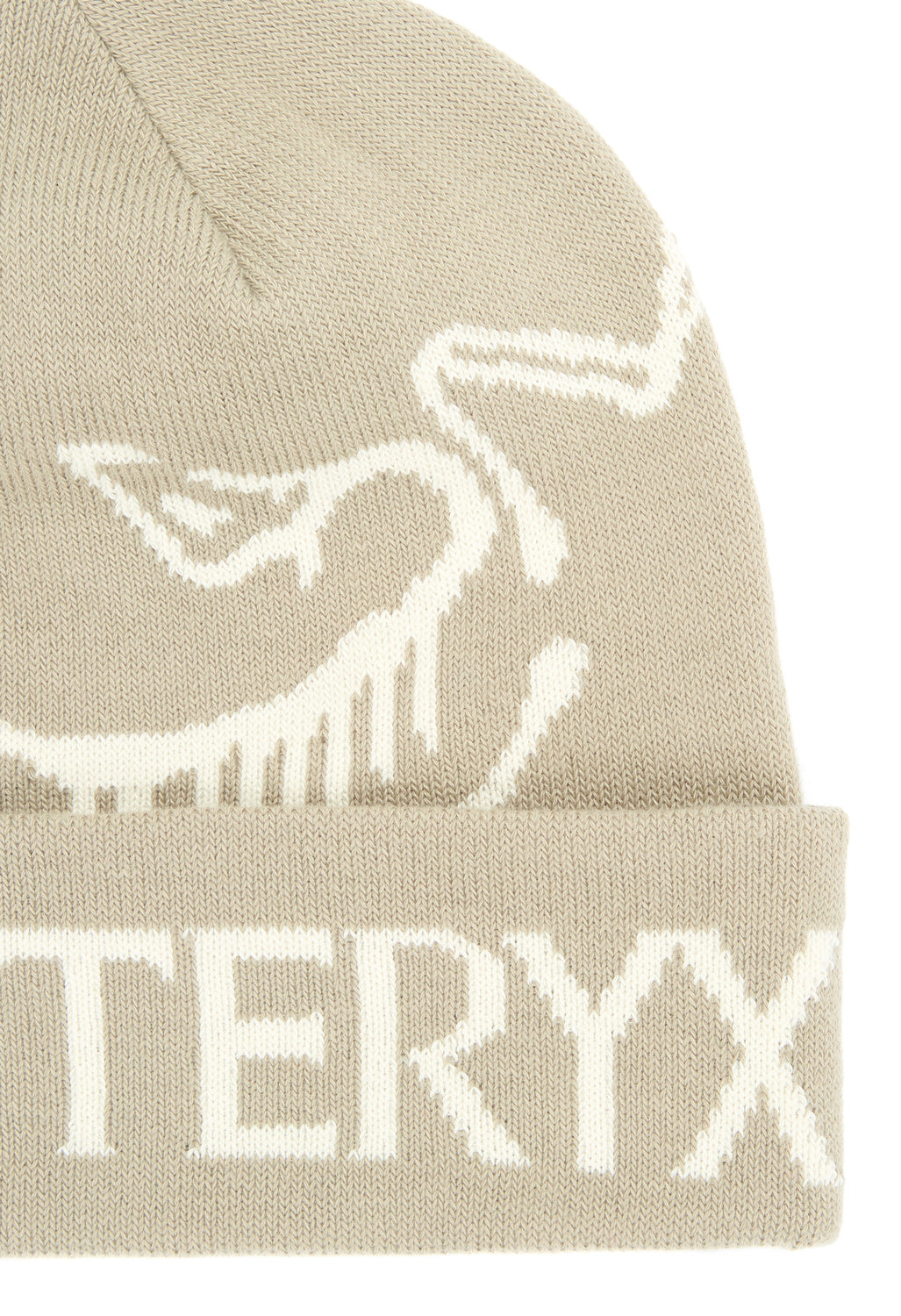 Arc'teryx Bird Word Toque - Rune / Arctic Silk