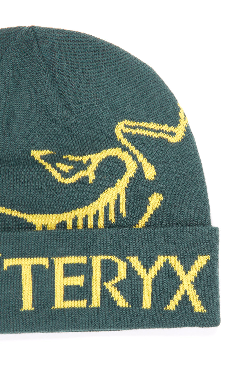 Arc'teryx Bird Word Toque - Pytheas