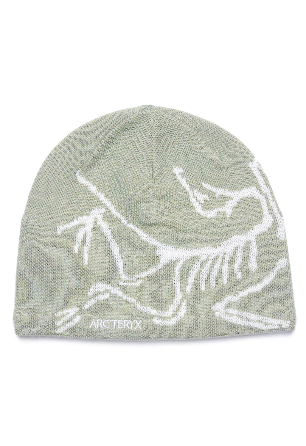 Arc'teryx Bird Head Toque Beanie 0