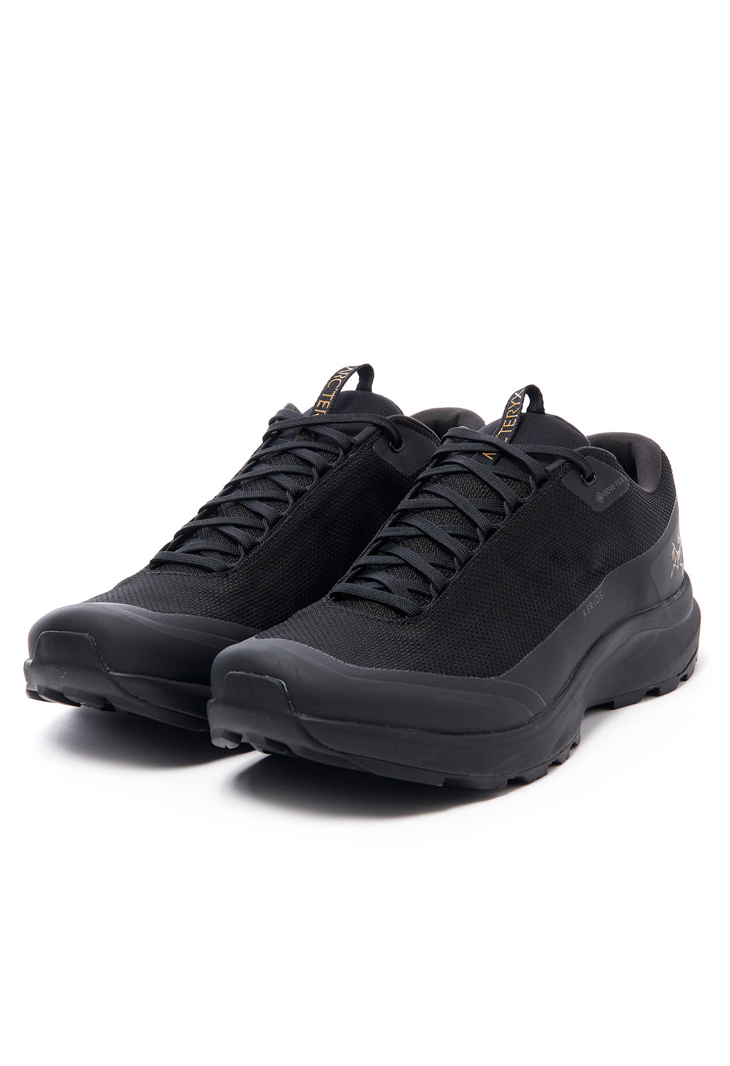 Arc'teryx Men's Aerios FL 2 GORE-TEX Shoes - Black/Black