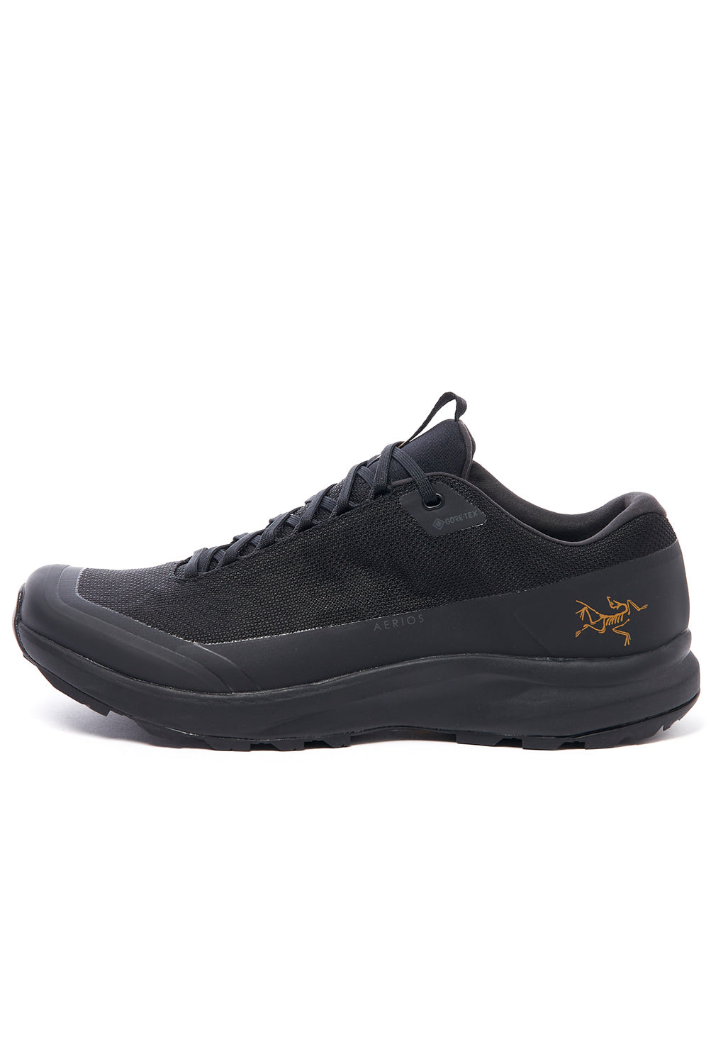 Arc'teryx Men's Aerios FL 2 GORE-TEX Shoes - Black/Black