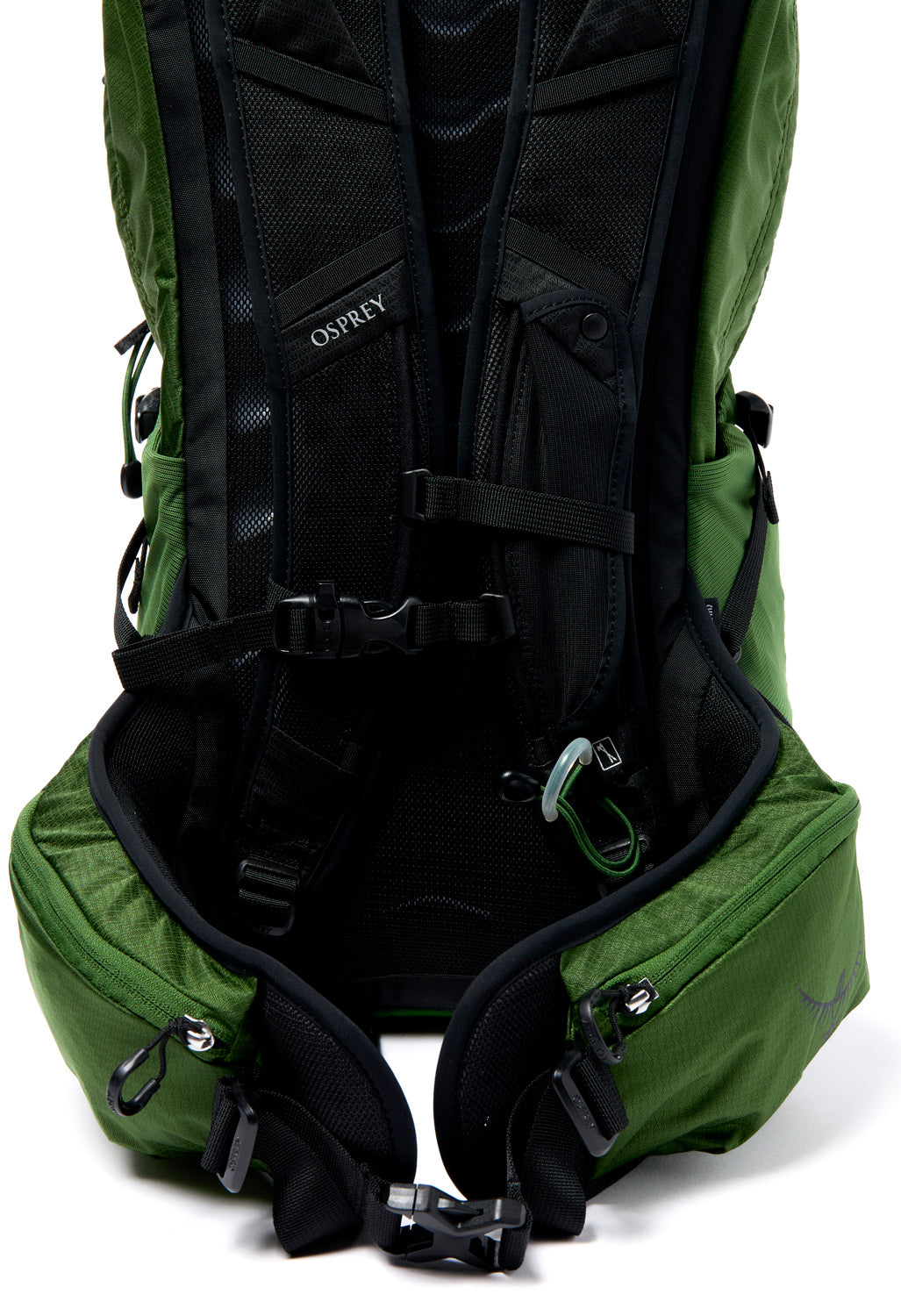 Osprey Talon 22 - Green Belt / Black