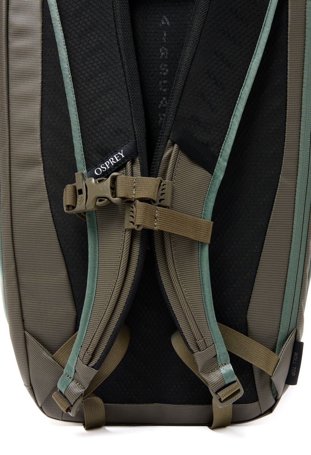 Osprey Transporter Roll Top Pack - Pine Leaf / Earl Grey