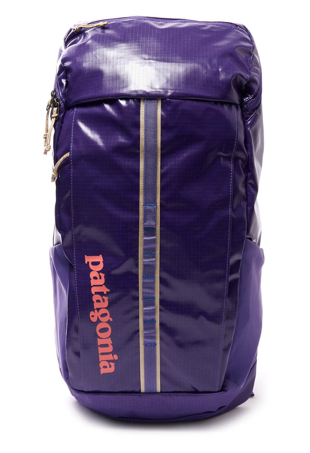 Patagonia Black Hole Pack 25L 2