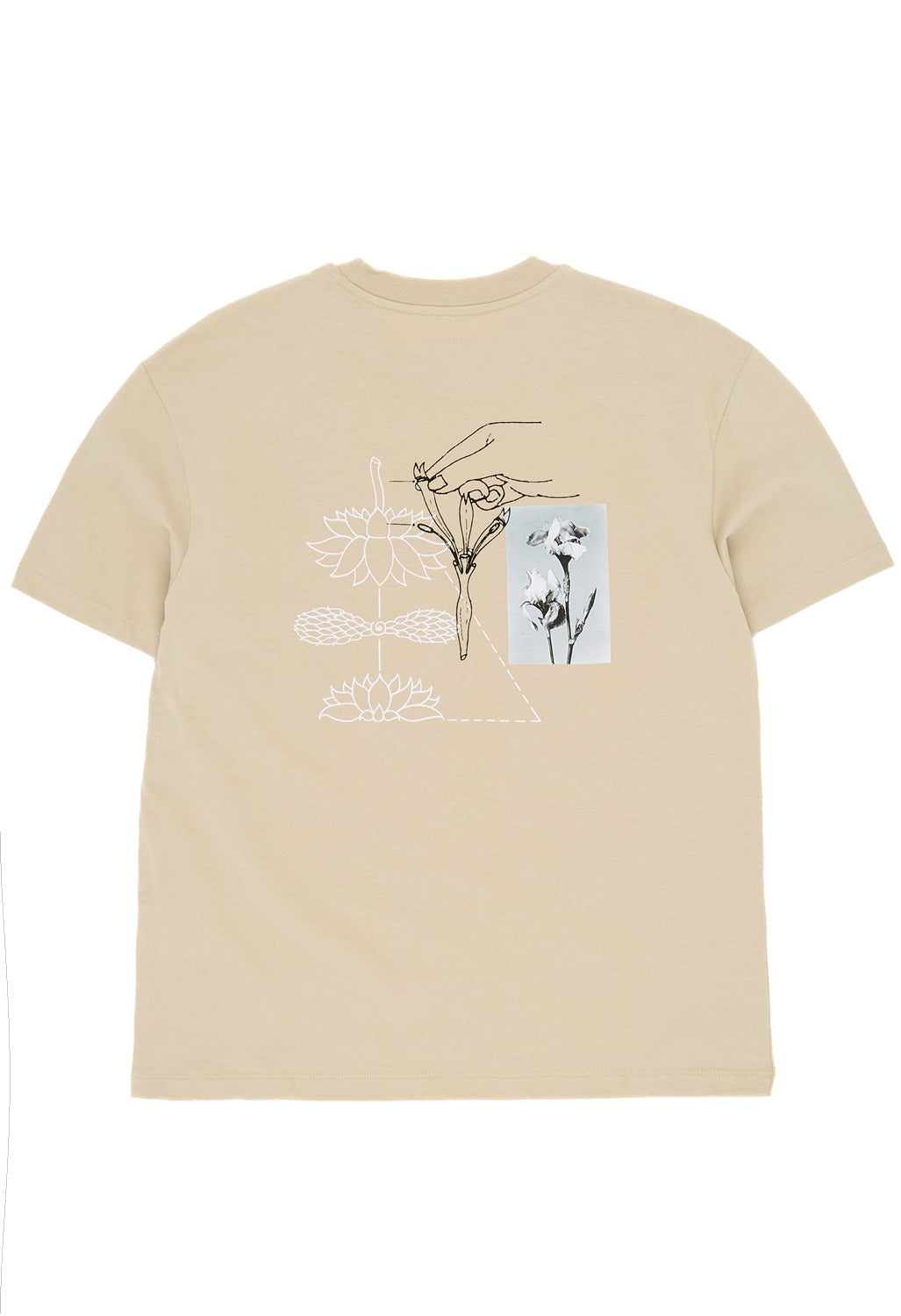 Carhartt WIP Women's Senses T-Shirt - Fleur De Sel